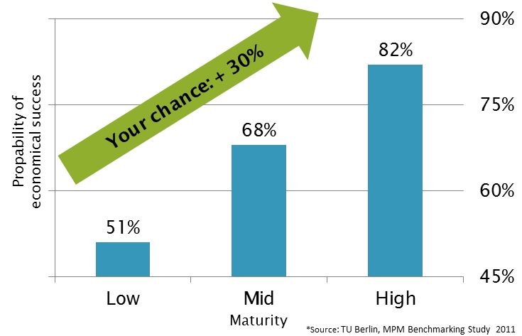 Darstellung von Reifegrad und Projekterfolg in komplexen Landschaften