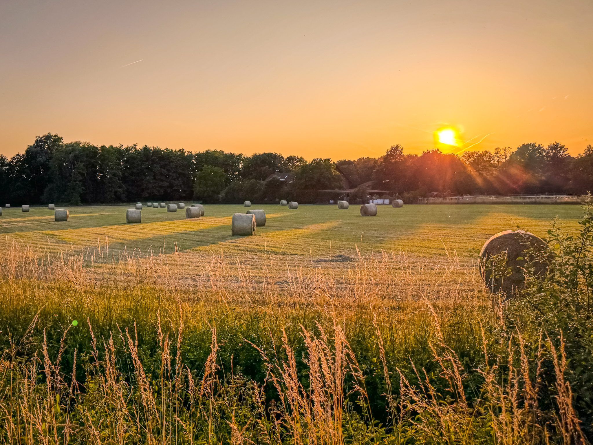 Sonnenuntergang hinter Silhouetten