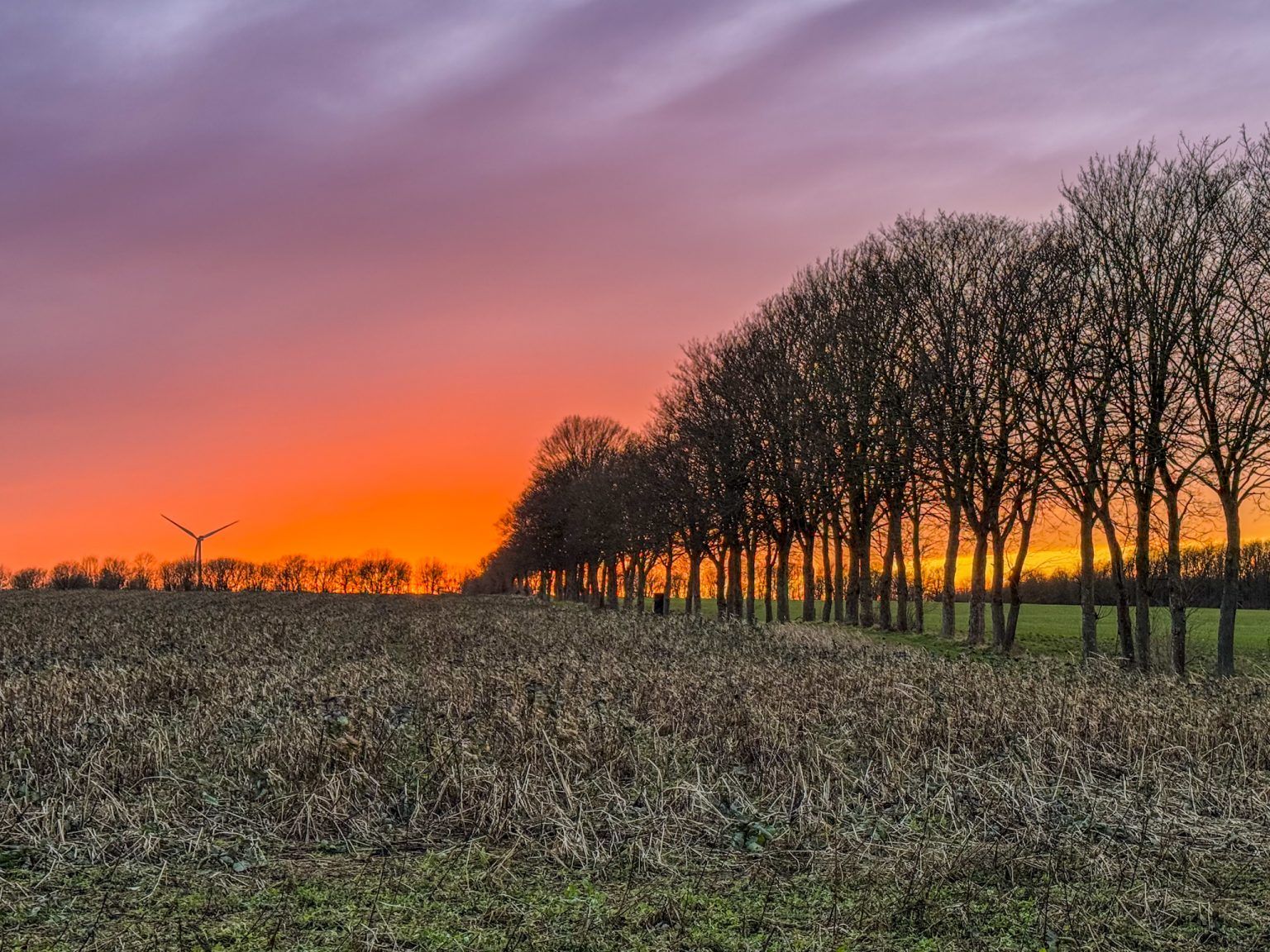 Struktur im Abendlicht