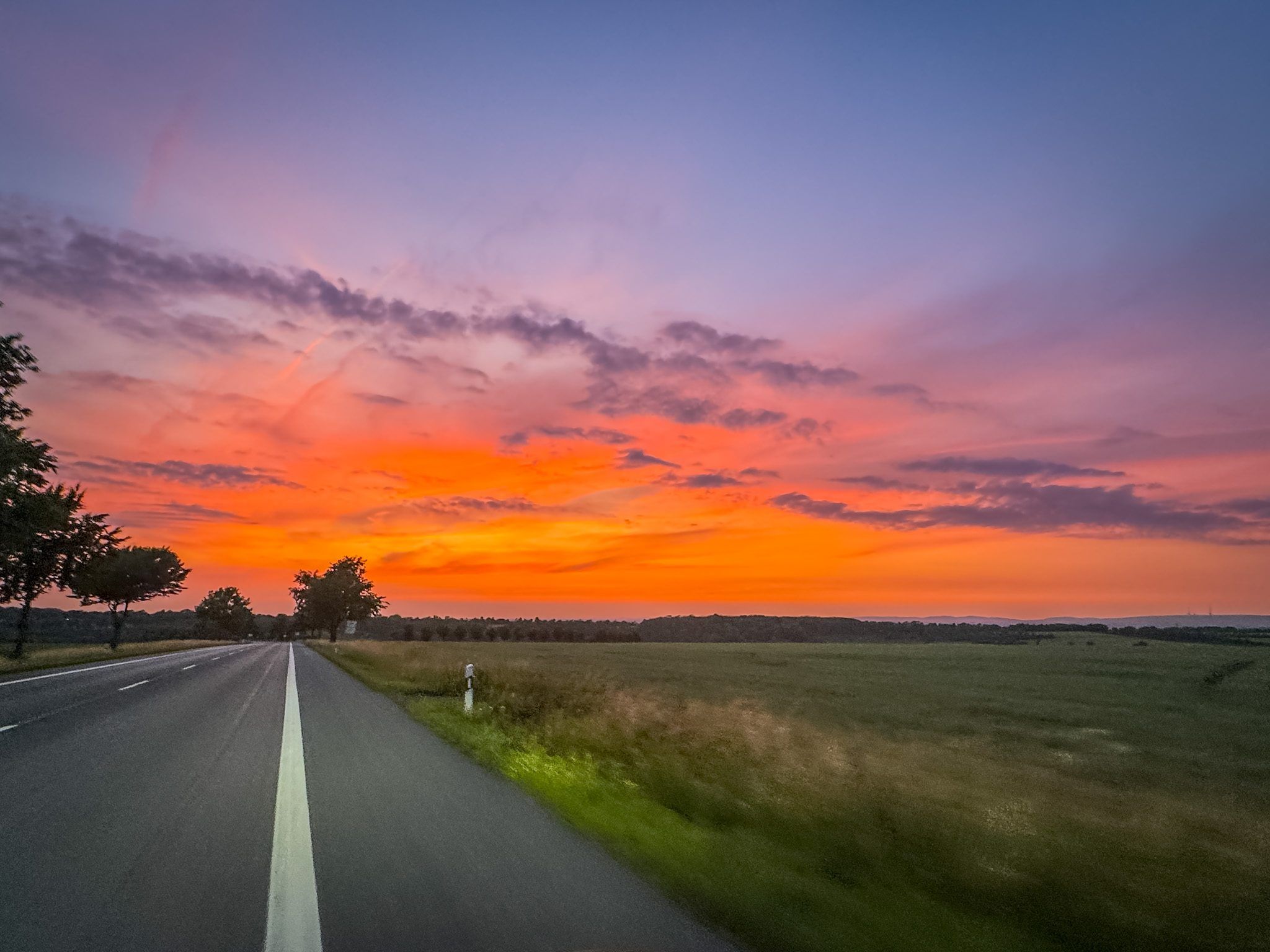 Pfad ins Abendlicht